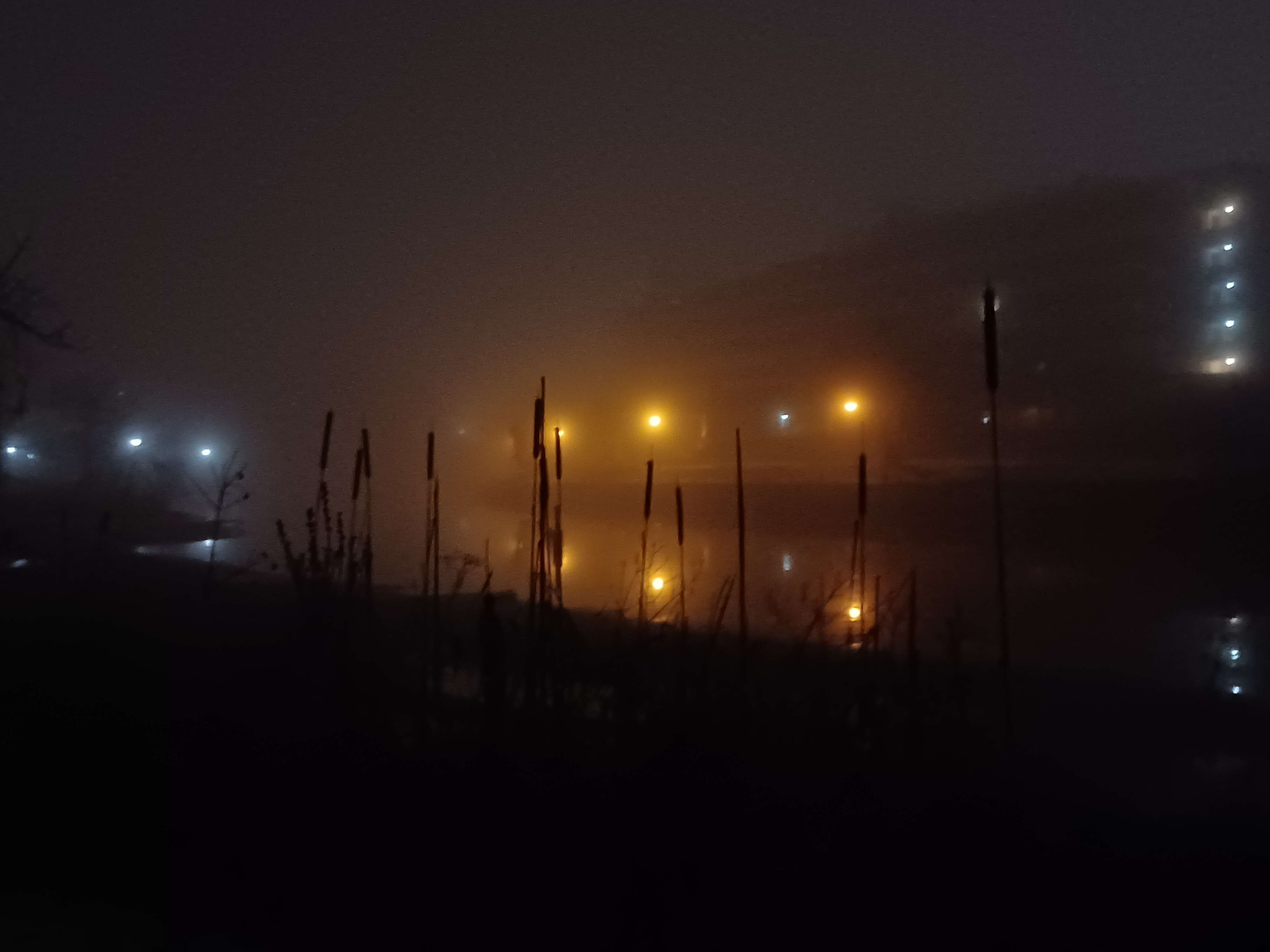 reeds drift infront of glowing orange and blue hues